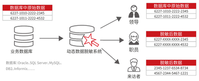 动态数据脱敏系统（DMS-D）